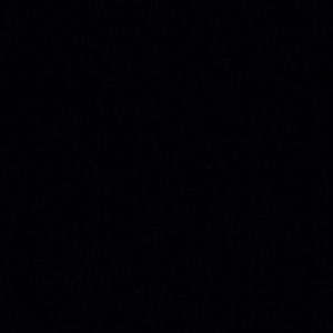 Meet your Posher, Summer